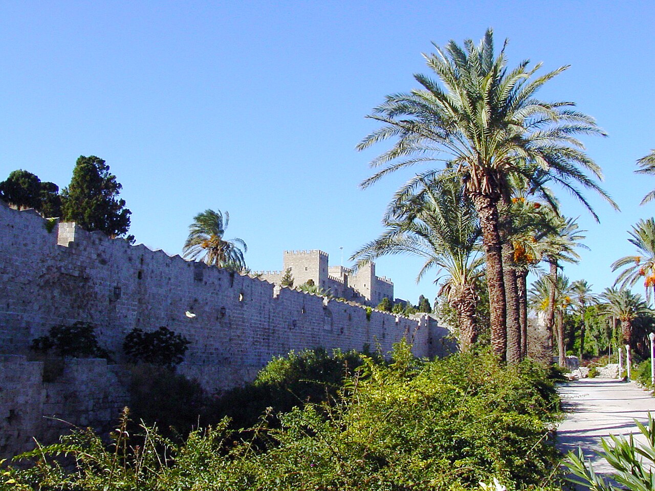 Mittelalterliche Stadtmauer von Rhodos mit Palmen