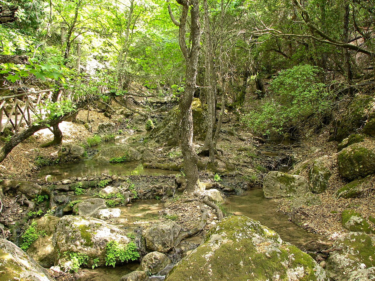 Bewaldetes Schmetterlingstal auf Rhodos mit Bach und schattigen Wegen